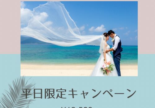 奄美大島のフォトウェディング ロケーションフォト撮影amami Photo Wedding Amami Photo Wedding